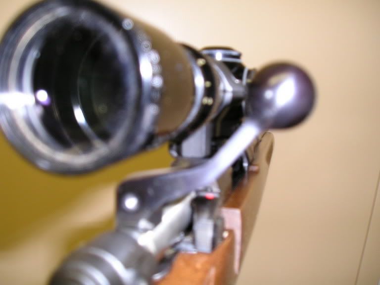 Cz 527 carbine 7 62x39 rimfire central firearm forum